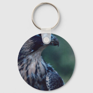Chaveiro Falcão de peregrino