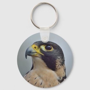 Chaveiro Falcão de peregrino majestoso