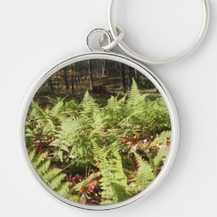 Chaveiro Fall Ferns