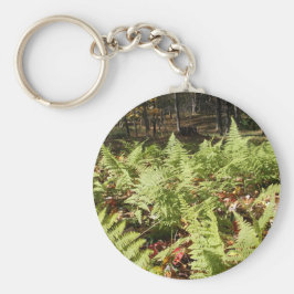 Chaveiro Fall Ferns