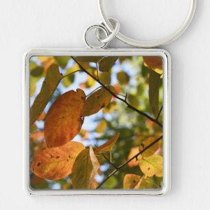Chaveiro Fall Leaf Autumn Deixa Sky Nature Fotografia