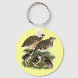 Chaveiro Família Coturnix Quail