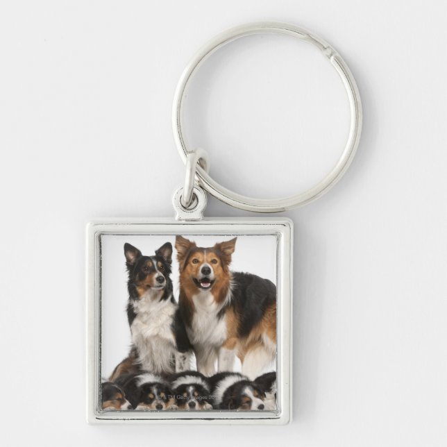 Chaveiro Família de border collie (Frente)