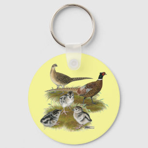 Chaveiro Família do faisão de Ringneck