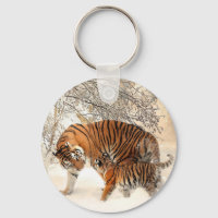 Família Tigre no inverno