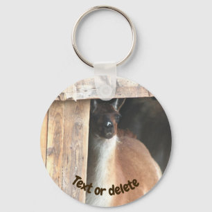 Chaveiro Fazenda de Llama Bonita Personalizada