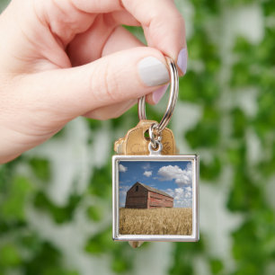 Chaveiro Fazendas   Velho Red Barn no Campo de Trigo
