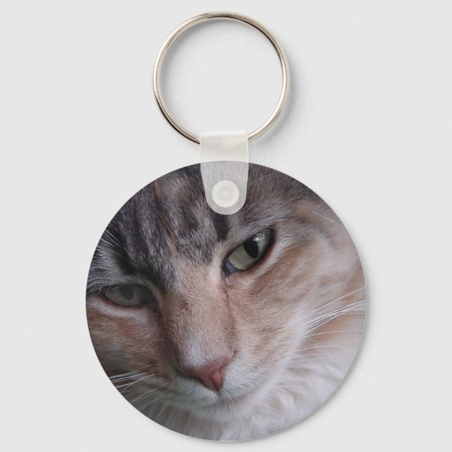 Chaveiro Fechamento de gatos (Frente)