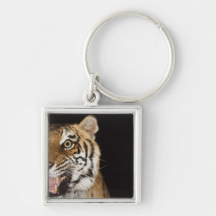 Chaveiro Feche acima da cara do tigre rujir