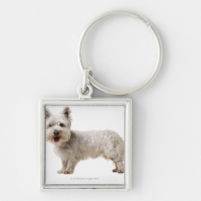 Chaveiro Feche acima de um terrier (Frente)