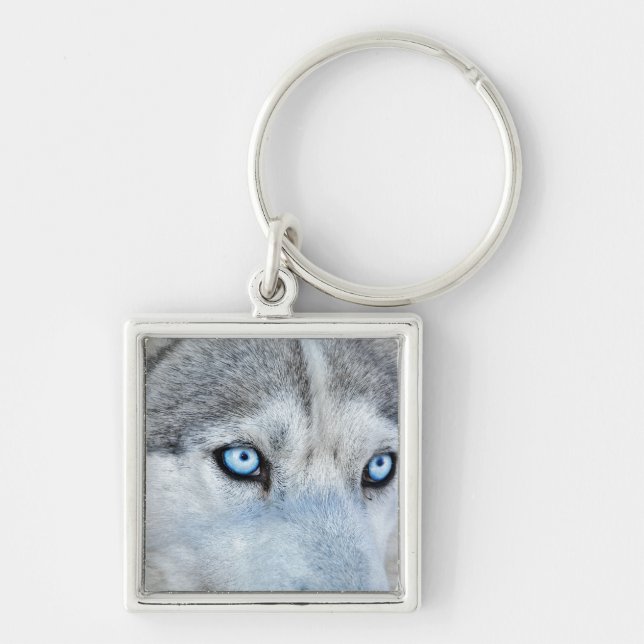 Chaveiro Feche o Husky Siberiano com Olhos Azuis (Frente)