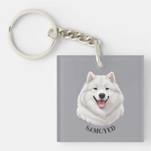Feliz Cão Branco Samoado