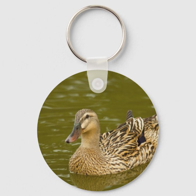 Chaveiro Female Mallard (Frente)