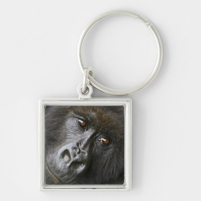 Chaveiro Female Mountain Gorilla (Frente)