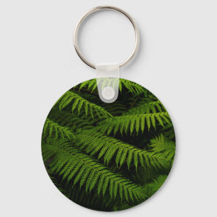 Chaveiro Ferns - Fotografia de Belas Artes