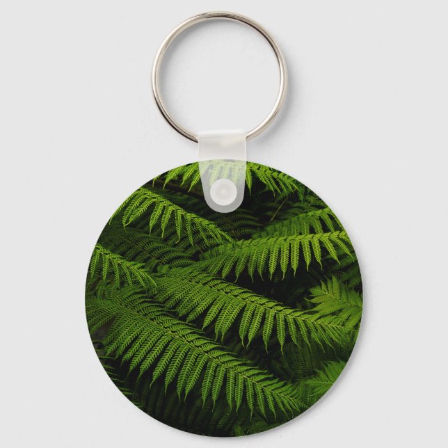 Chaveiro Ferns - Fotografia de Belas Artes (Frente)