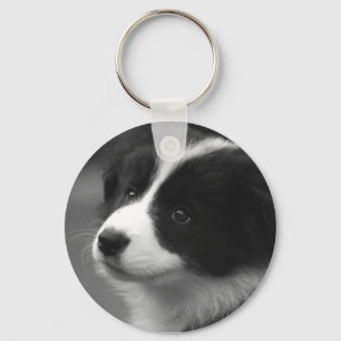 Chaveiro Filhote de Border Collie