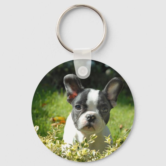 Chaveiro Filhote de Bulldog Francês Preto e Branco (Frente)