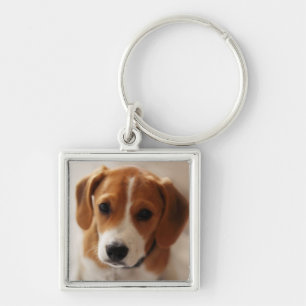 Chaveiro Filhote de cachorro 2 do lebreiro