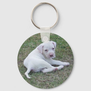 Chaveiro Filhote de cachorro americano do buldogue