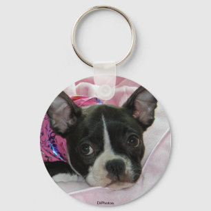 Chaveiro Filhote de cachorro bonito de Boston Terrier