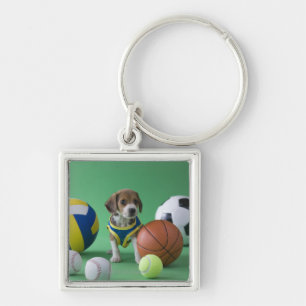 Chaveiro Filhote de cachorro cercado por bolas do esporte