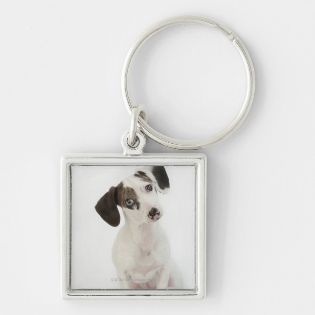 Chaveiro Filhote de cachorro da fêmea do (Frente)