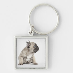 Chaveiro Filhote de cachorro da pedigree