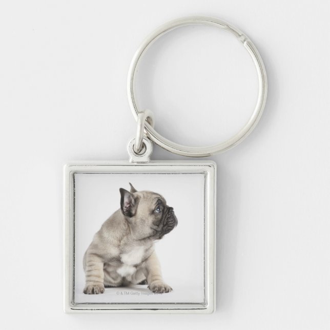 Chaveiro Filhote de cachorro da pedigree (Frente)