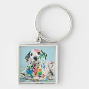 Chaveiro Filhote de cachorro Dalmatian