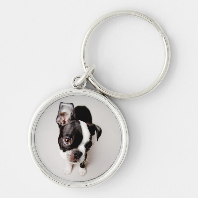Chaveiro Filhote de cachorro de Edison Boston Terrier (Frente)