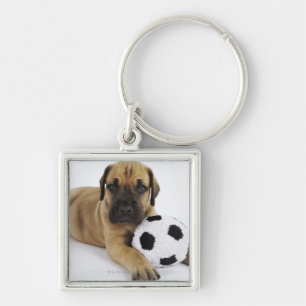 Chaveiro Filhote de cachorro de great dane com bola de