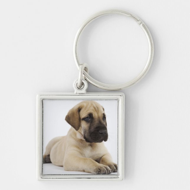 Chaveiro Filhote de cachorro de great dane que encontra-se (Frente)