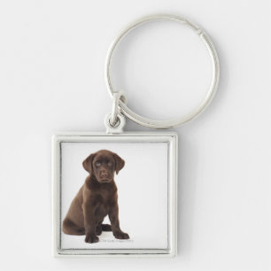 Chaveiro Filhote de cachorro de labrador retriever do