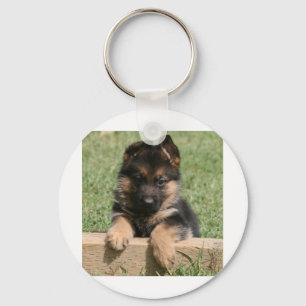 Chaveiro Filhote de cachorro do german shepherd