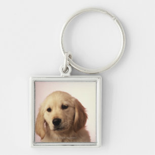 Chaveiro Filhote de cachorro do golden retriever