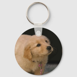 Chaveiro Filhote de cachorro do golden retriever