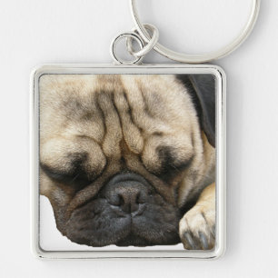 Chaveiro filhote de cachorro do pug