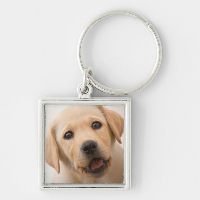 Chaveiro Filhote de cachorro dourado de Labrador (Frente)