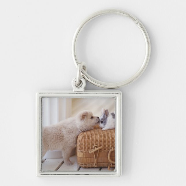 Chaveiro Filhote de cachorro e coelho (Frente)