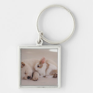 Chaveiro Filhote de cachorro e coelho