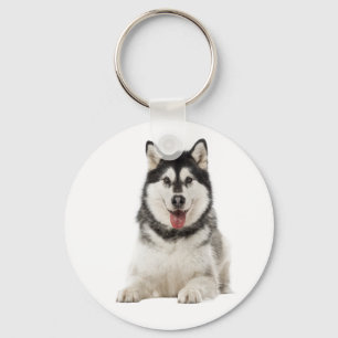 Chaveiro Filhote de cachorro Malamute do Alasca cinza e pre