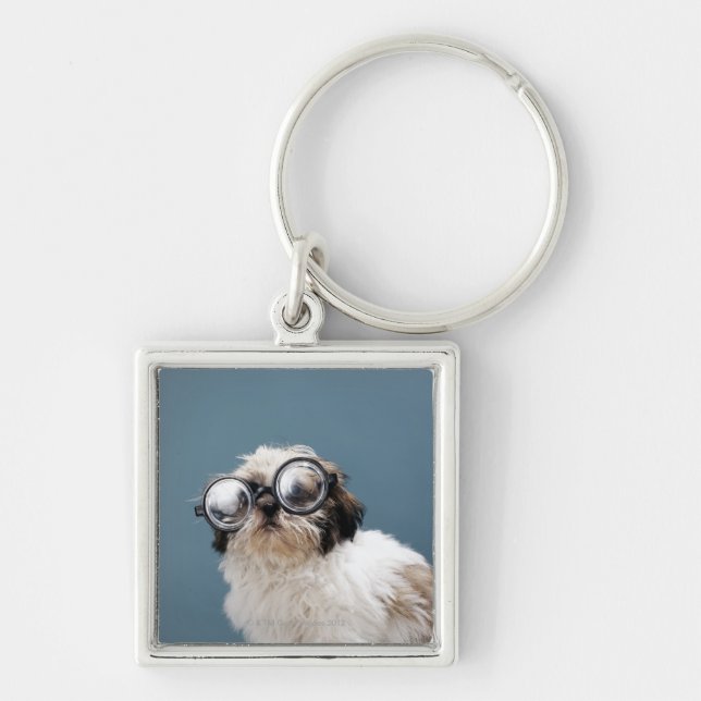 Chaveiro Filhote de cachorro que veste vidros grossos (Frente)