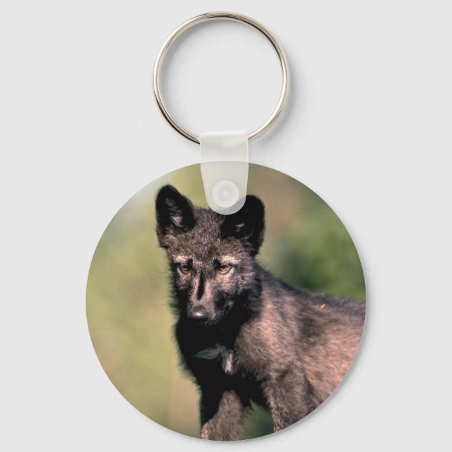 Chaveiro Filhote de cinza Wolf-Summer-(fase negra) (Frente)