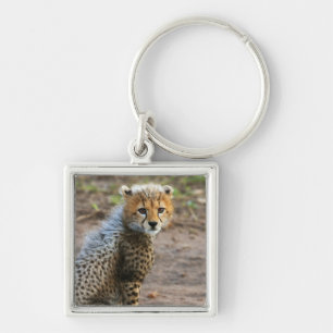 Chaveiro Filhote de Guepardo Acinonyx Jubatus)