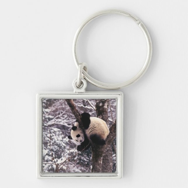 Chaveiro Filhote de panda brincando em árvore coberta de ne (Frente)