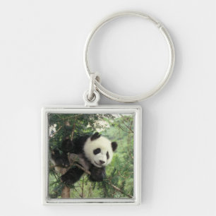 Chaveiro Filhote de Panda Gigante sobe em uma árvore, Vale