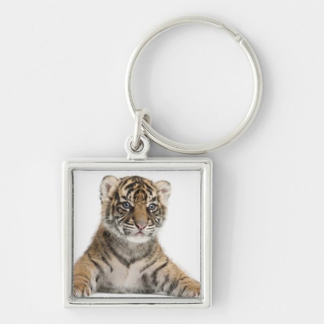Chaveiro Filhote de tigre de Sumatran (Frente)