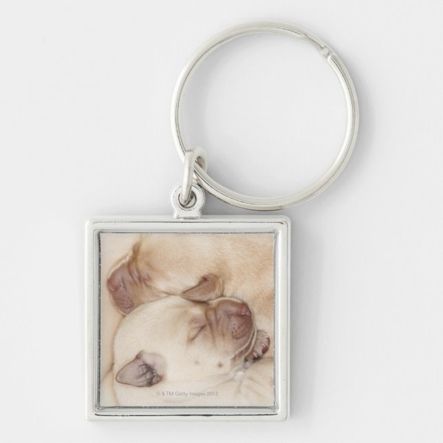 Chaveiro Filhotes de cachorro amarelos de labrador (Frente)