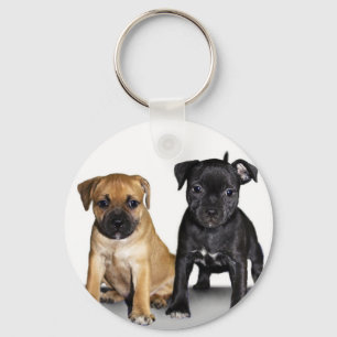 Chaveiro Filhotes de cachorro de Staffordshire bull terrier